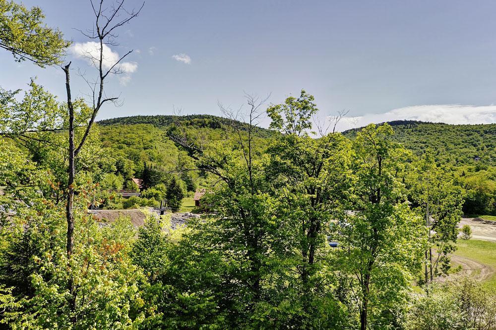 Condo 305 33 Chemin Du Hameau By Les Chalets Alpins ストーンハム エクステリア 写真